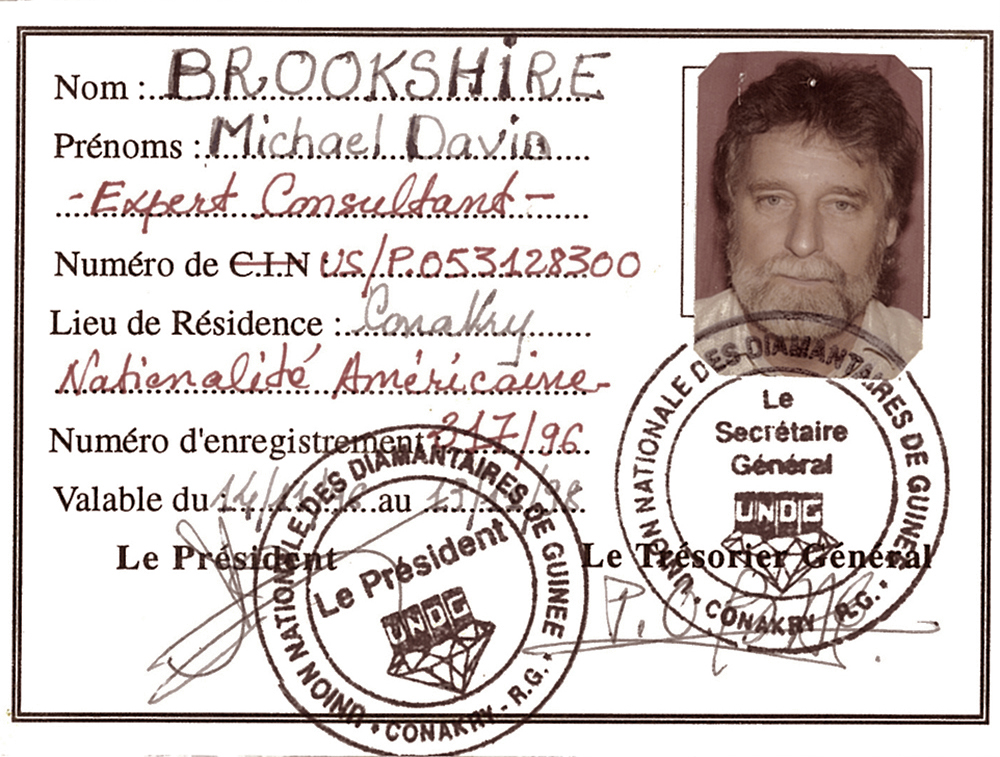 Guinea 1996 Consultant License